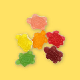 Jelly Filled Turtles