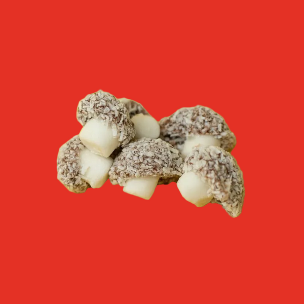 Coconut Mushrooms – Classic Traditional British Retro Sweets – Traditional Confectionery from ChokBox, 11a High Street, Eccleshall