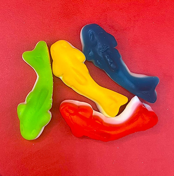 Jelly Sharks