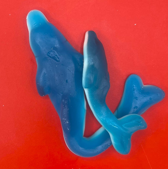 Giant Dolphins