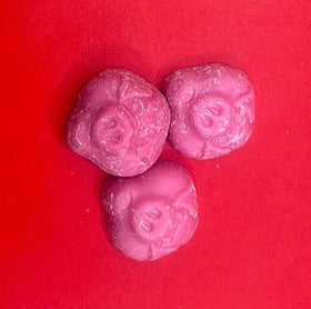 Chocolate Porky Pigs