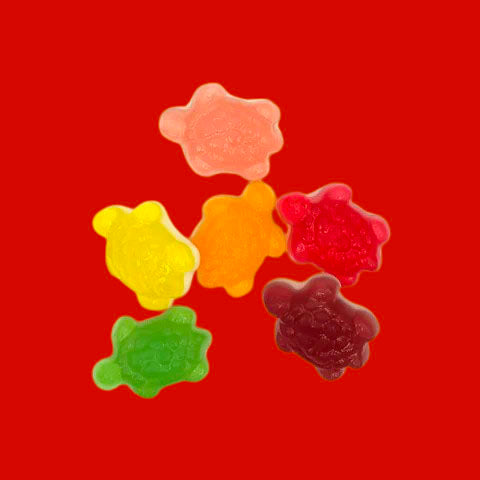 Jelly Filled Turtles